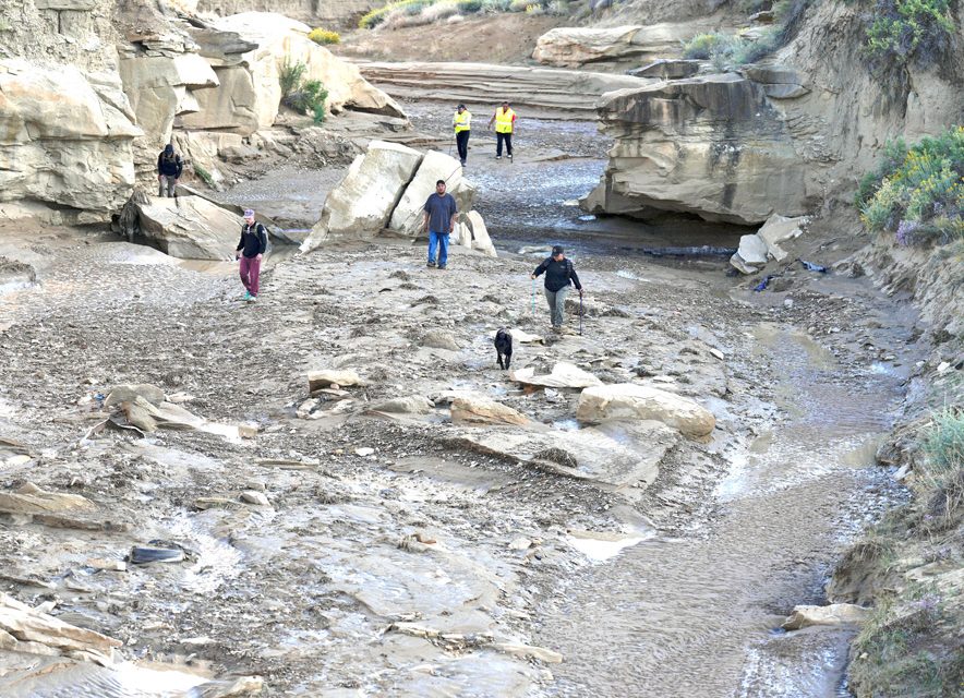 Body of missing woman found after days of searching