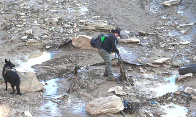 Search continues for Sharon Cachini swept away in floodwaters near Gallup