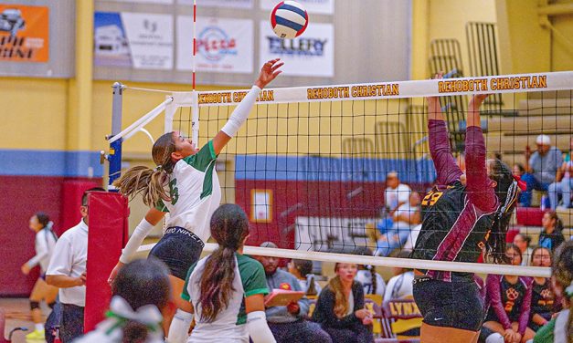 Gold winners: Tuba outslugs Tohatchi in title game