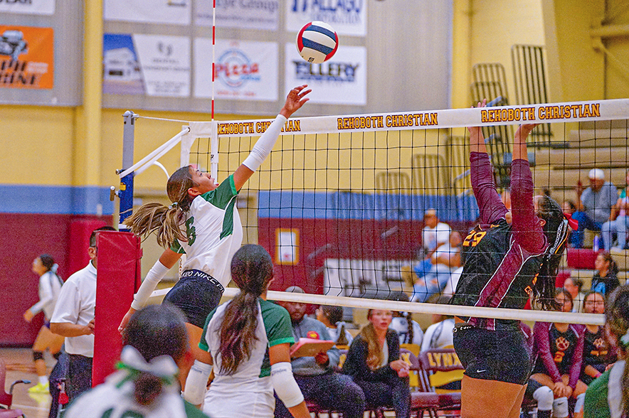 Gold winners: Tuba outslugs Tohatchi in title game