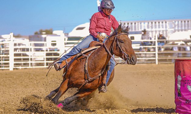 Northern Navajo Fair: Dennison Boone, Cassidy Begay capture all-around crowns