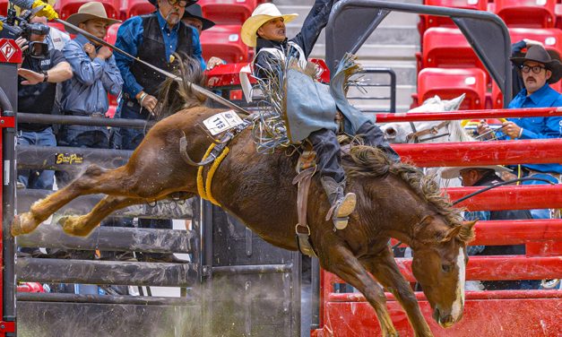 Diné contestants stay hot through Round 2 at INFR