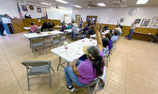 Tse’ii’ahi’ Resident Organization special meeting