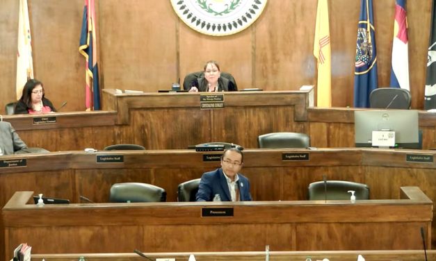 Council grills Nygren on texts, spending after court halts removal