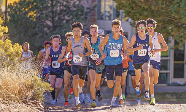 Volcano Vista’s Talen Riley takes silver at 5A state meet: Cleveland wins state with a pair of Native runners