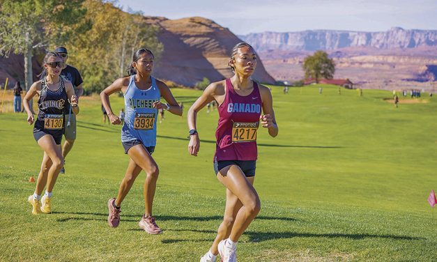 Section champ Chinle girls ready for state