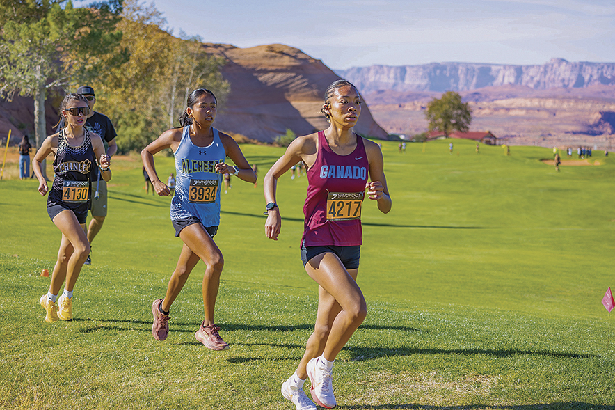 Section champ Chinle girls ready for state