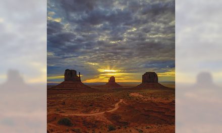 Every Thursday, she delivers the news, a memory at Tsébii’ndzisgaii