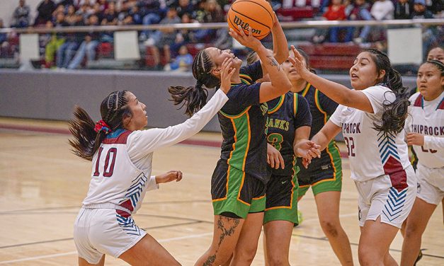 Area teams make Top 10 poll