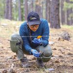 Sacred protectors: Diné biologist bridges culture, science to study black bears