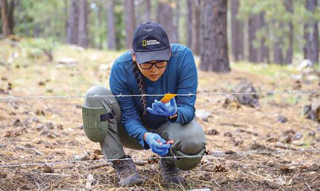 Sacred protectors: Diné biologist bridges culture, science to study black bears