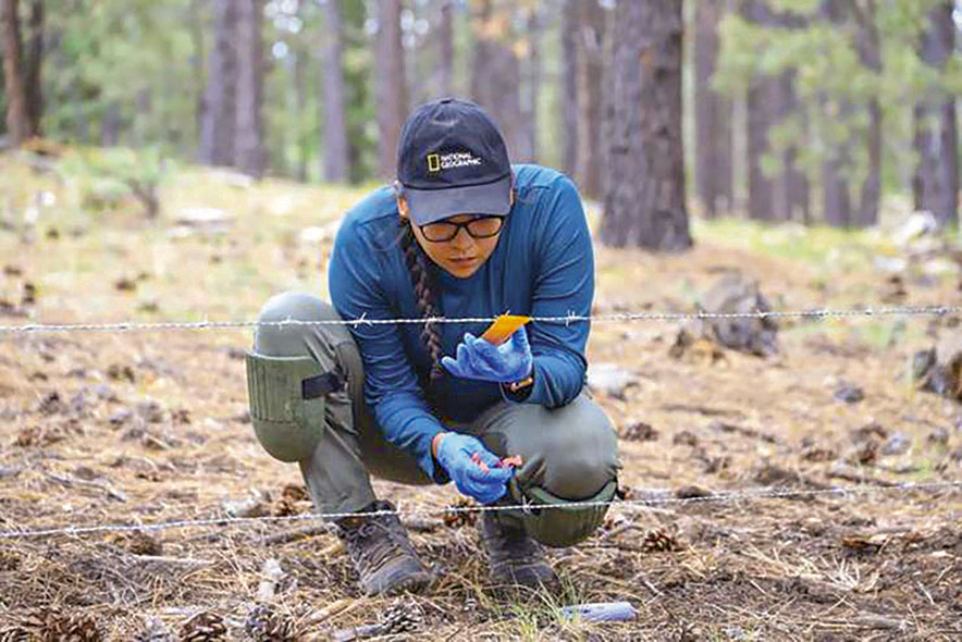 Sacred protectors: Diné biologist bridges culture, science to study black bears