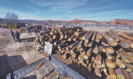 Legacy of warmth: Chizh for Cheii firewood mission grows