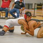 St. Johns wrestling team shows its dominance: Diné junior among sectional champs