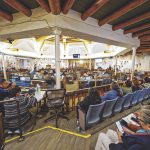 Council presses DOJ on delays, prosecution gaps