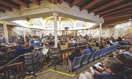 Council presses DOJ on delays, prosecution gaps