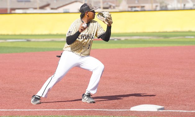 Wildcats fall to Snowflake in 6-2 decision
