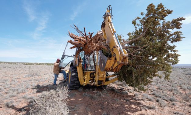 Funding failure deepens crisis at Padres Mesa ranch