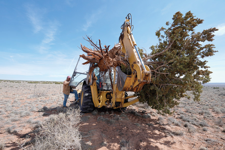 Funding failure deepens crisis at Padres Mesa ranch