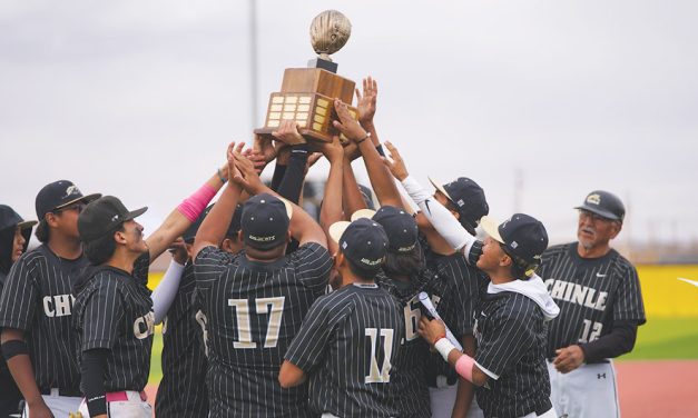 Back-to-back champions <br>Wildcats rally past Page for 3A North Region baseball crown