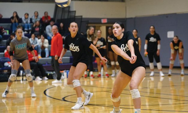 ‘She’s got a cannon’<br>Seenane Brewer looking to have a greater impact on UNM volleyball team