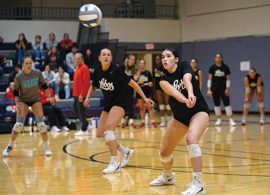 ‘She’s got a cannon’<br>Seenane Brewer looking to have a greater impact on UNM volleyball team