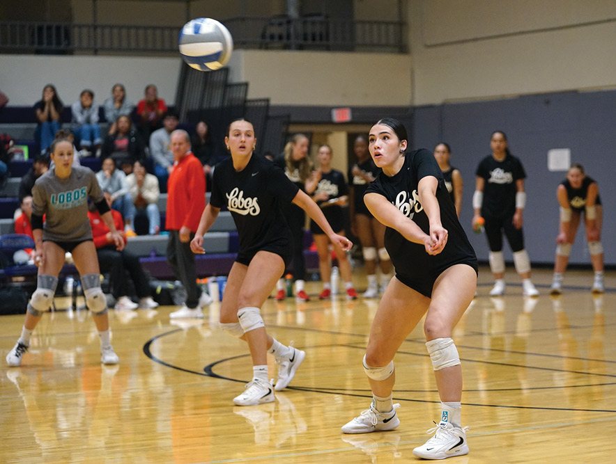 ‘She’s got a cannon’<br>Seenane Brewer looking to have a greater impact on UNM volleyball team