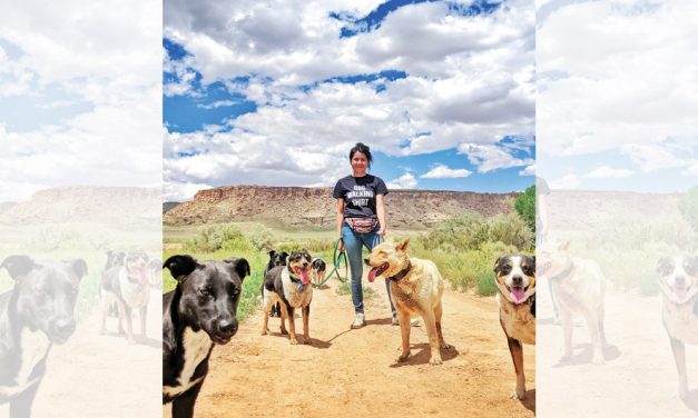 Shiprock woman wins national award for bridging gap in pet care