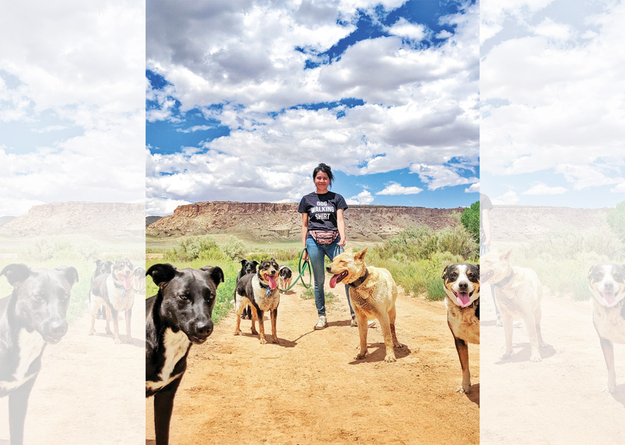 Shiprock woman wins national award for bridging gap in pet care