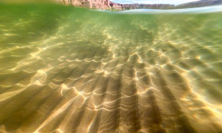 Diné called to pray for water as drought worsens