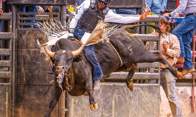 Home of the Navajo PRCA Rodeo starts Friday<br>Top hands to compete for lucrative purse