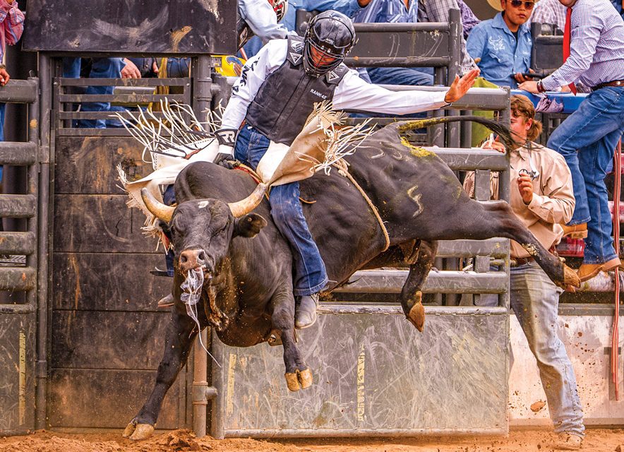 Home of the Navajo PRCA Rodeo starts Friday<br>Top hands to compete for lucrative purse