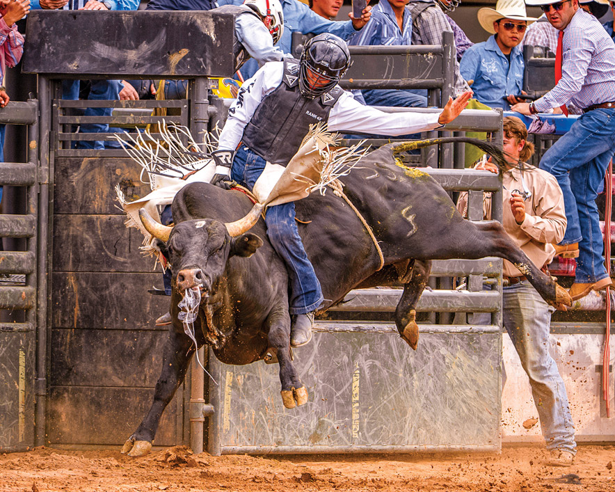 Home of the Navajo PRCA Rodeo starts FridayTop hands to compete for lucrative purse - Navajo Times