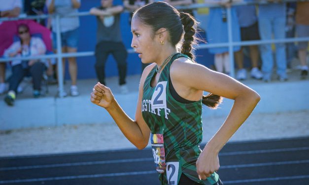 Area athletes make podium appearance at AIA division state meet