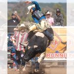 Jacobs Custom Buckers Memorial Day Bullarama continues bull riding tradition in Breadsprings