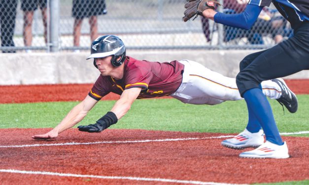 Rehoboth Christian advances behind Zylstra’s no-hitter