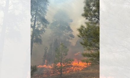 Fire danger rises as crews battle North Tsaile Butte blaze