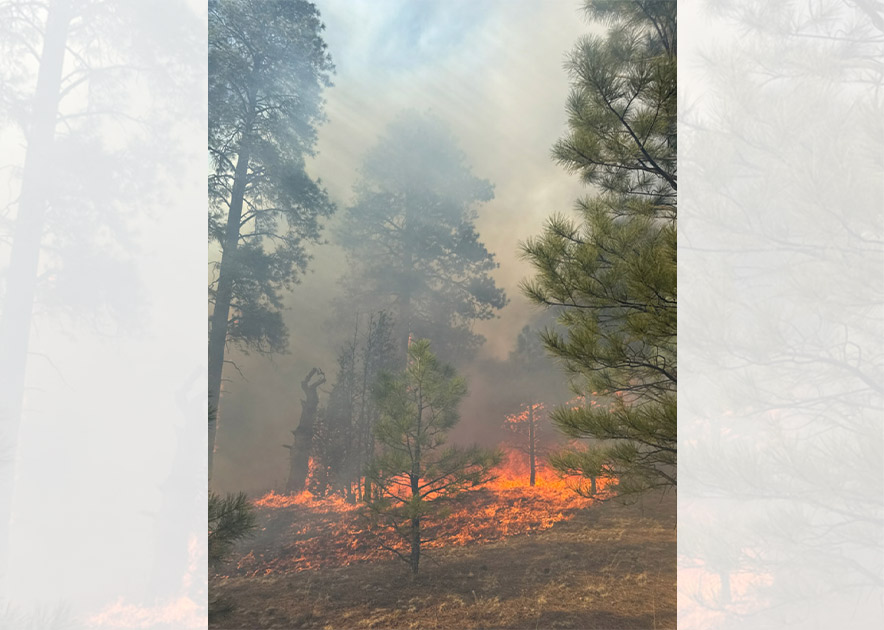 Fire danger rises as crews battle North Tsaile Butte blaze