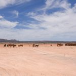 The drought no one sees