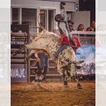 Diné bull rider Brad Moreno gets summer rolling with hometown win