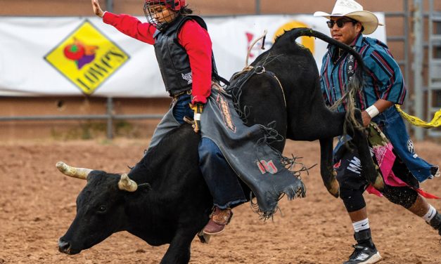 Top hands in NNJBRA earn top finishes in ladies steer riding at Gallup Lion’s Club Rodeo