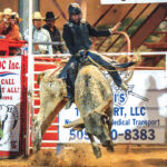 ‘Long time coming’<br> Texas bull rider captures third Wild Thing crown with 91-point effort