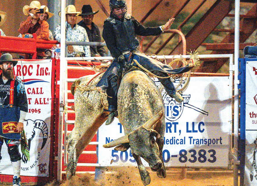 ‘Long time coming’<br> Texas bull rider captures third Wild Thing crown with 91-point effort