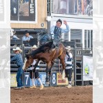 Navajo Nation Fair: Arizona cowboys take early lead in bareback, bull riding events