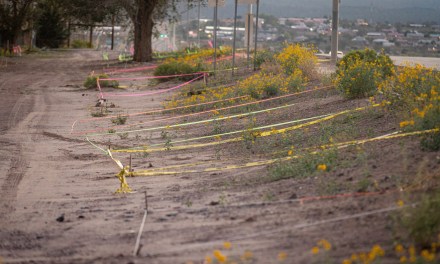 Slideshow | Fair takes shape