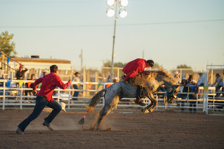 Wild Horse Race<br>Whitehorse Bros continue winning streak